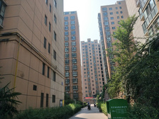 凤凰山庄2室2厅西南