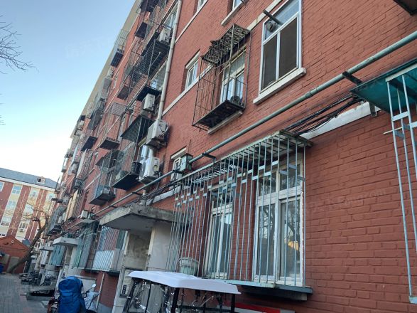和平街九区实景图