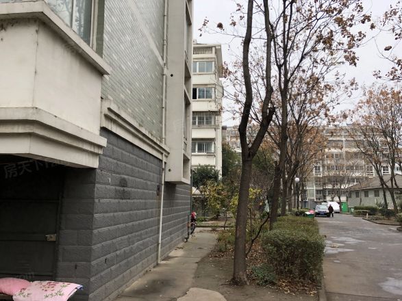 金山花园实景图