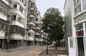 金山花园实景图