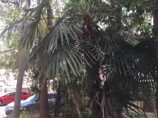 新上房源,中间楼层看房随时,业主诚心卖价格好谈