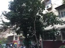 精装修,带天井带露台,刚需好房,拎包入住,诚意出售,价格好谈