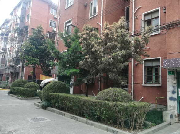 桂竹香公寓