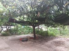 西苑小区2室2厅南