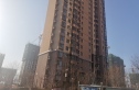 红磡领世郡实景图