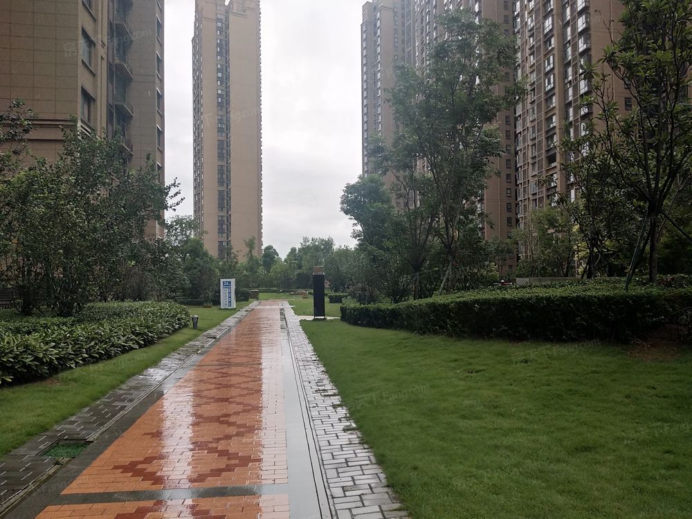 小区相关图