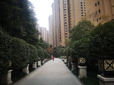 国际公馆三房双卫,拎包入住,户型方正