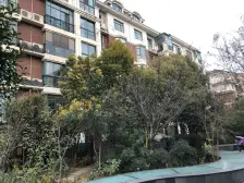 一楼带院的大四房带来的快乐,你买了才知道