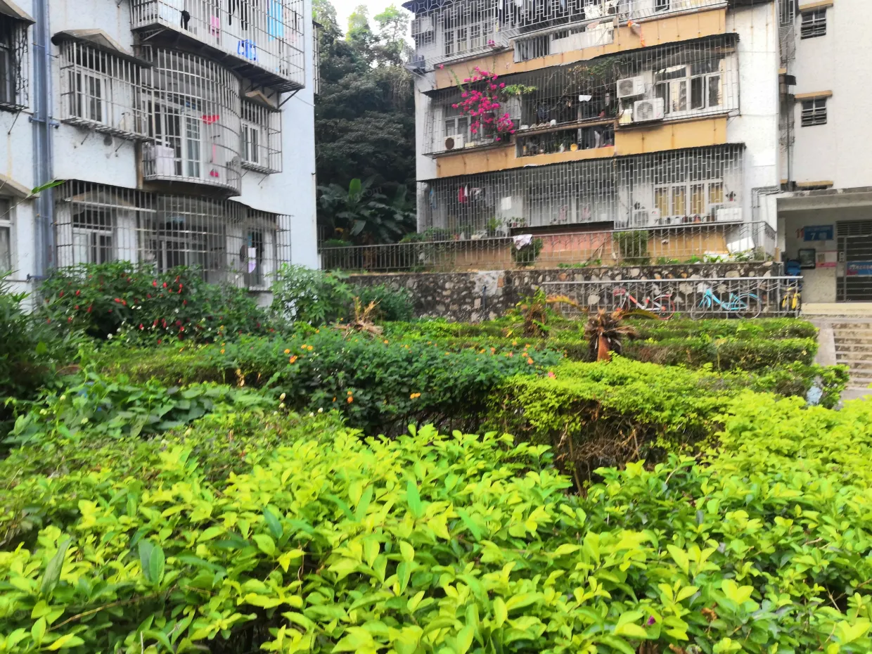 【珠海竹苑小区,二手房,租房】- 珠海房天下