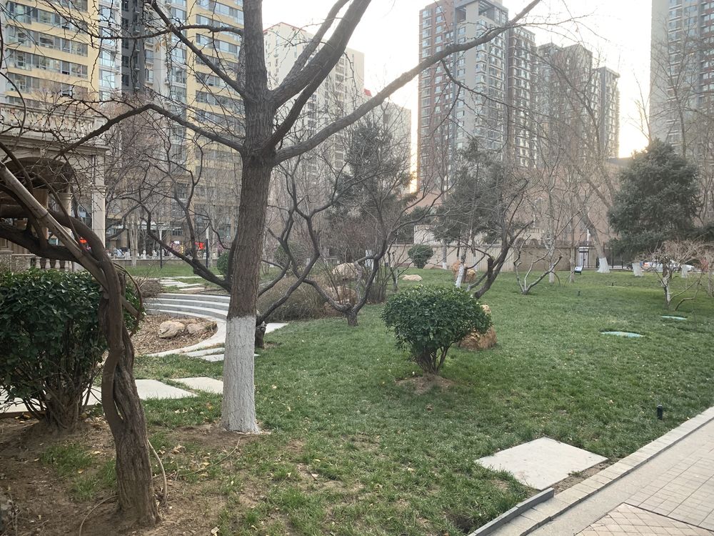 小区相关图
