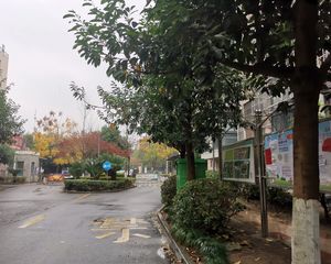 房子总价低 ,户型方正,房东诚心卖,采光很好