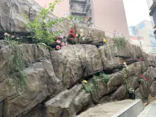 长石苑 2室2厅 东