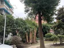 复试带露台的房子上下两层使用空间大可住三代人