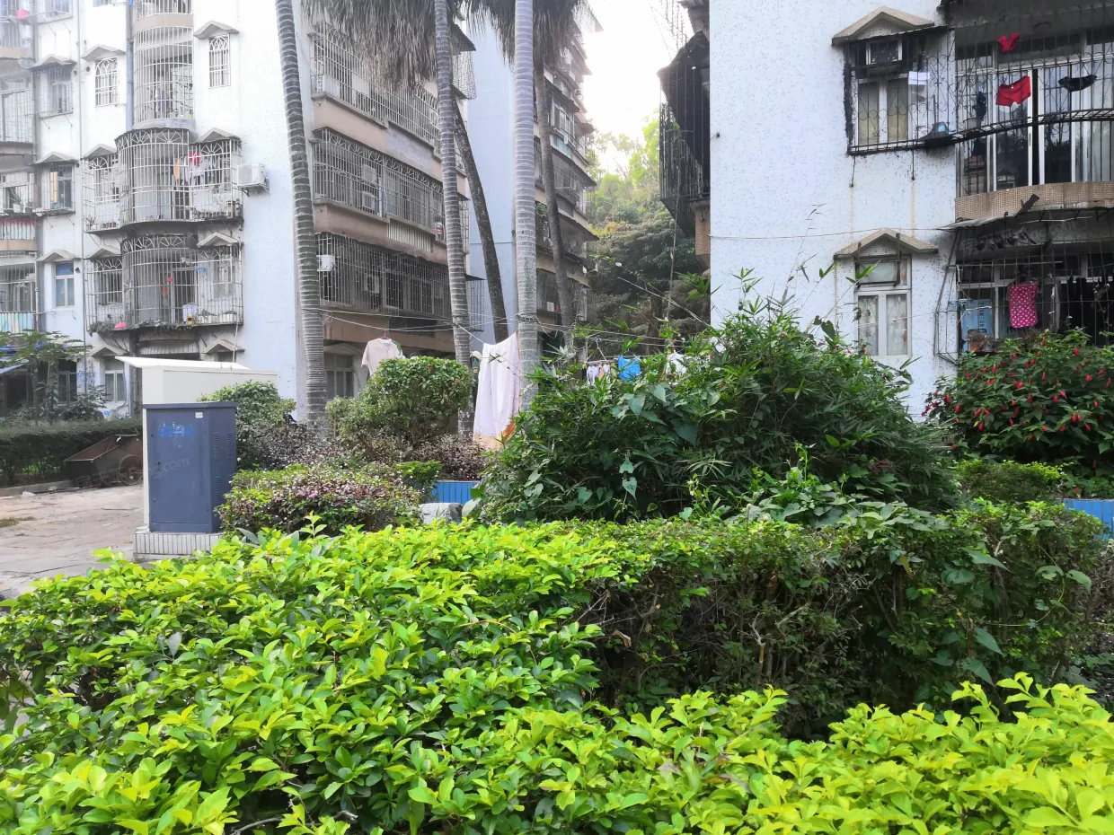 【珠海竹苑小区,二手房,租房】- 珠海房天下