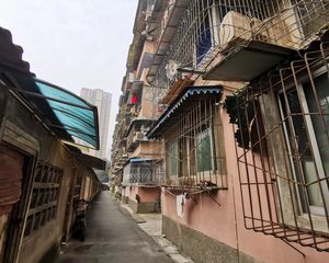 高攀路17号3室1厅南北