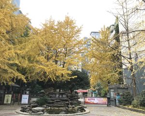 碧华邻3室2厅西