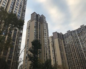 金香领邸3室2厅西西南南