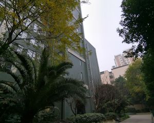 三度空间1室1厅东东南