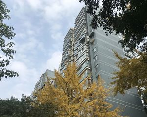 碧华邻2室1厅东南