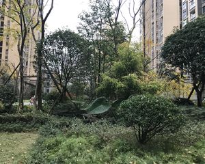 金香领邸2室2厅南