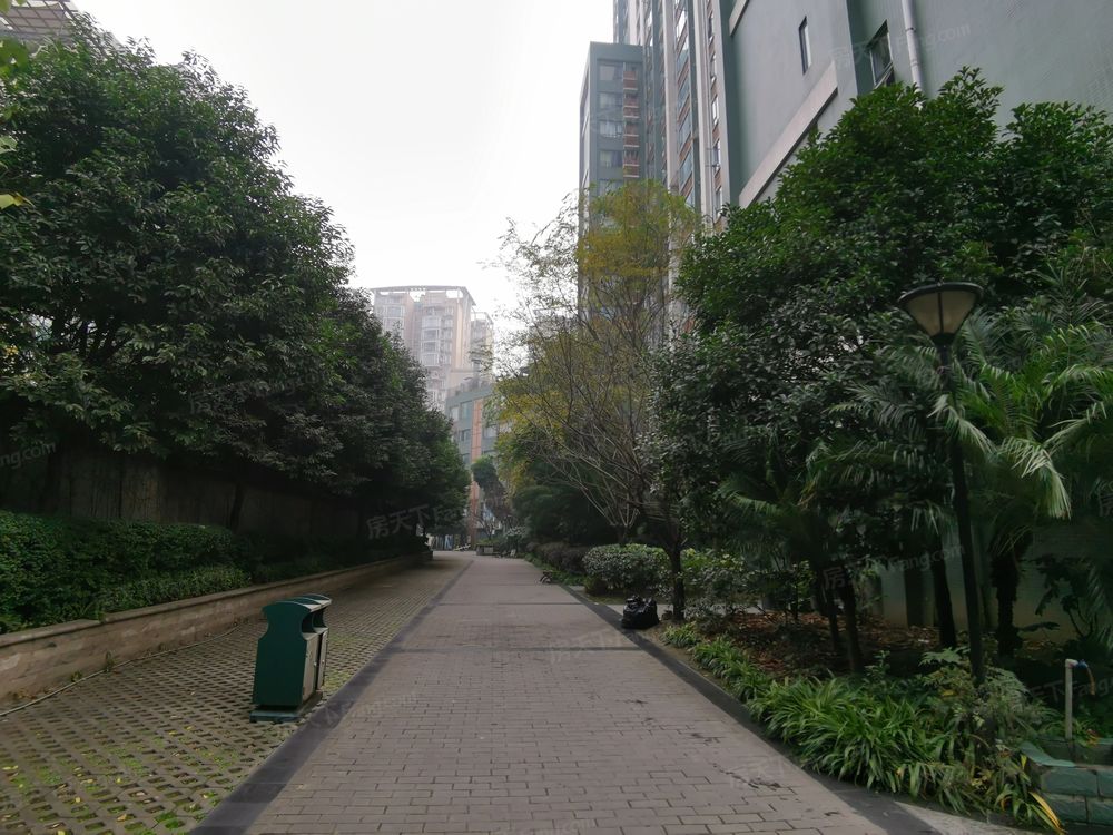 小区相关图