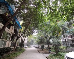 桃李园2室2厅南