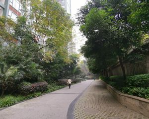 三度空间1室1厅东