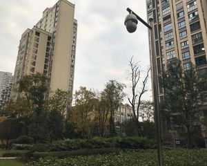 金香领邸3室2厅南