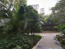三度空间2室1厅东南
