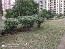 无抵押,精装 刚需上车,新上房源