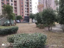 一手动迁税费低+户型方正+楼层好采光佳