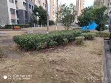 夏阳·崧泽华城和瑞西苑·2室·1厅