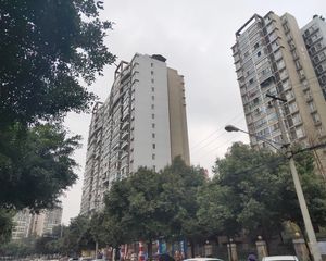 紫东梵谷3室1厅东南