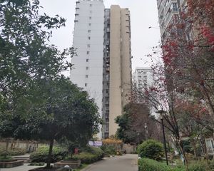 紫东梵谷1室1厅东南