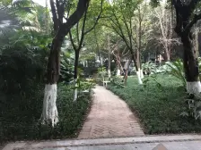 大渡口Primary school 旁精装带露台