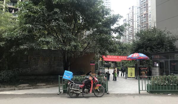 ³���ǳ�ʮһ����