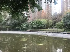 龙头寺 鲁能星城十二街区二房150万