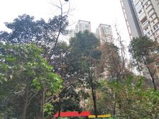 上东锦城B区3室2厅东南西北