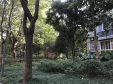 状元府第顶跃 带屋顶花园 采光好 带露台