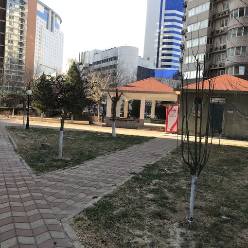  ���⡤�˼�԰���ٻ���԰��1�� 