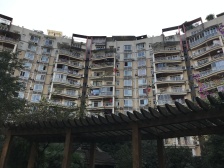 状元府第 3室2厅 东南