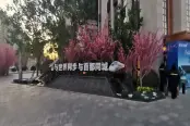 售楼处实景图