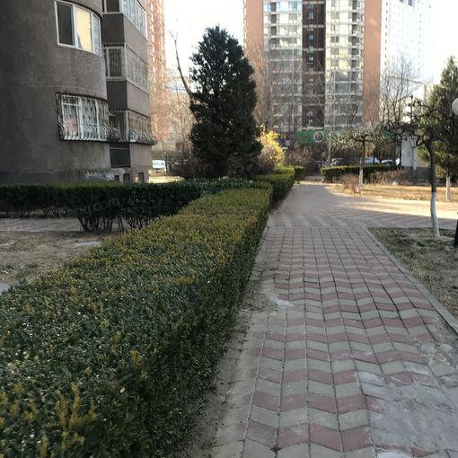  �ٻ���԰1��1��1��������5300.00Ԫ/�³��� 