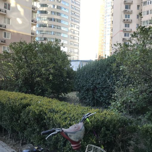  ���⡤�˼�԰���ٻ���԰��2�� 