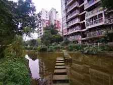 业主诚意出售 精装洋房,价格合适就可以出售