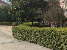 馨都广场 新上两房 有钥匙 随时看 诚意售