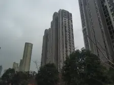 三林·城林美苑(西区)·1室·1厅