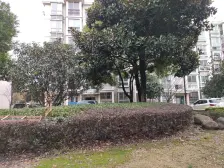 巷佳华苑 (三期) 1室1厅 南