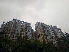 国际花园 1室1厅 北