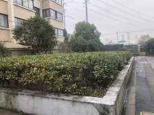 楼层好 视野开阔 临河景观 满五年税少 总价低